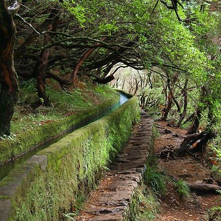 Moradia Ponte De Pedra Villa Sao Vicente  Luaran gambar