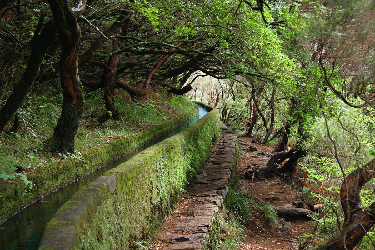 Moradia Ponte De Pedra Villa Sao Vicente  Luaran gambar